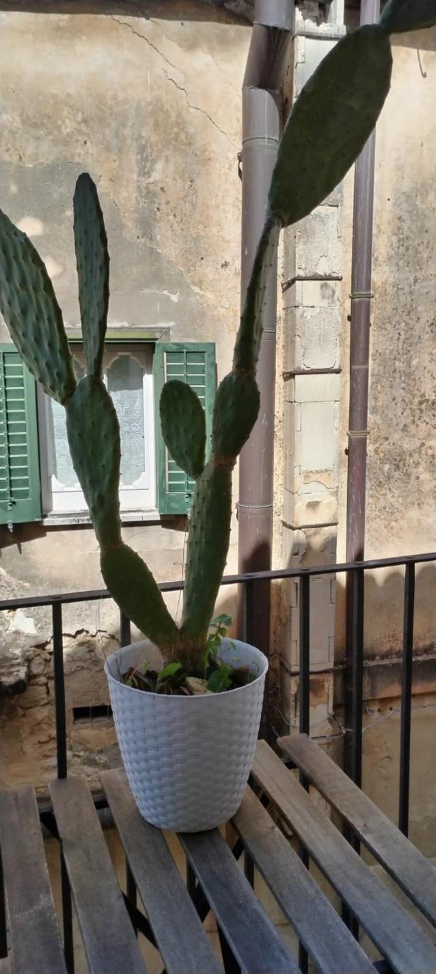 Residenza Donnafugata B&B Ragusa Exterior foto